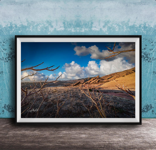 A framed photograph depicting a desert landscape with a blue sky, clouds, and a dry, barren terrain.