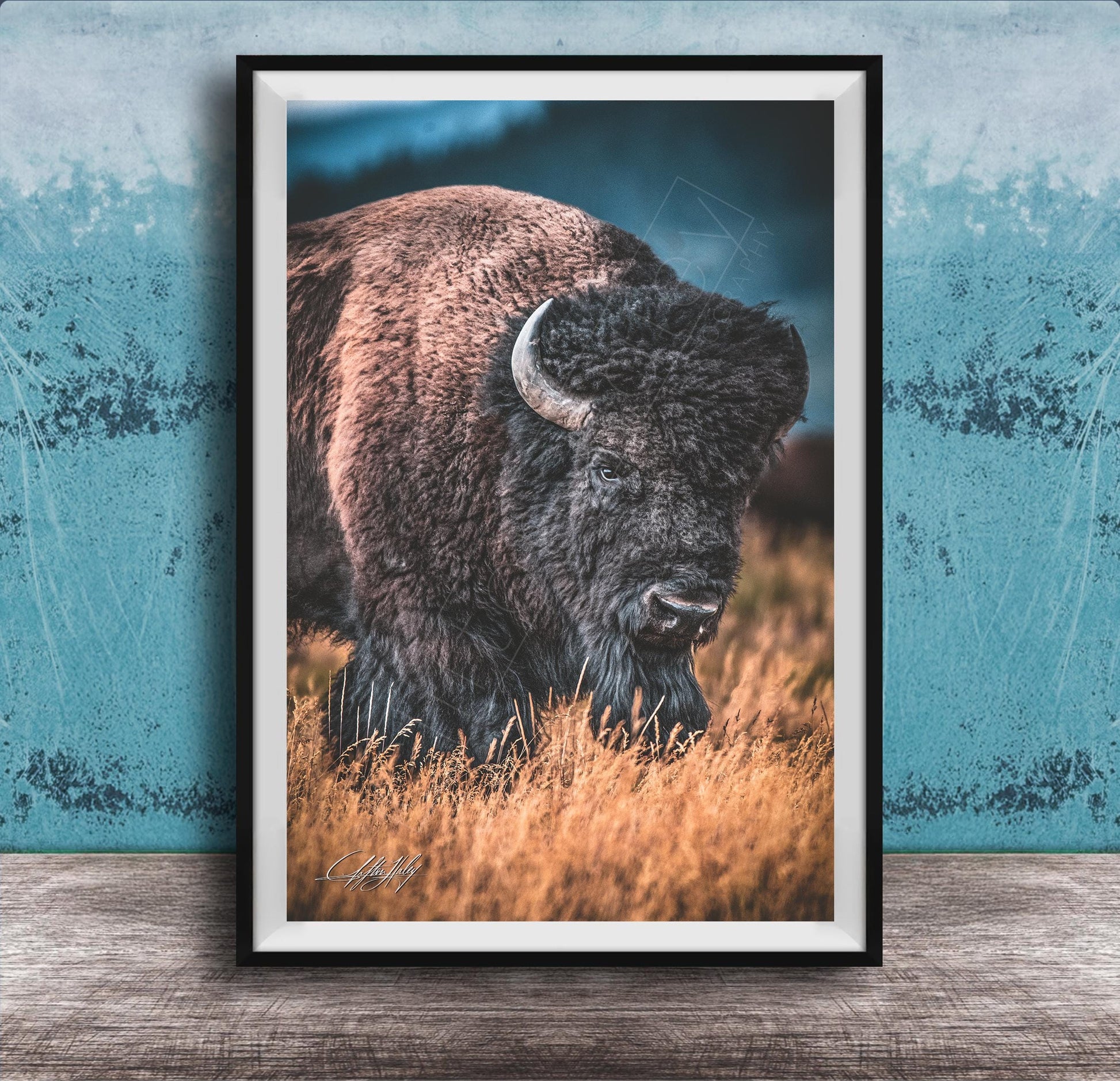 A framed photograph of a bison standing in a field of tall grass.