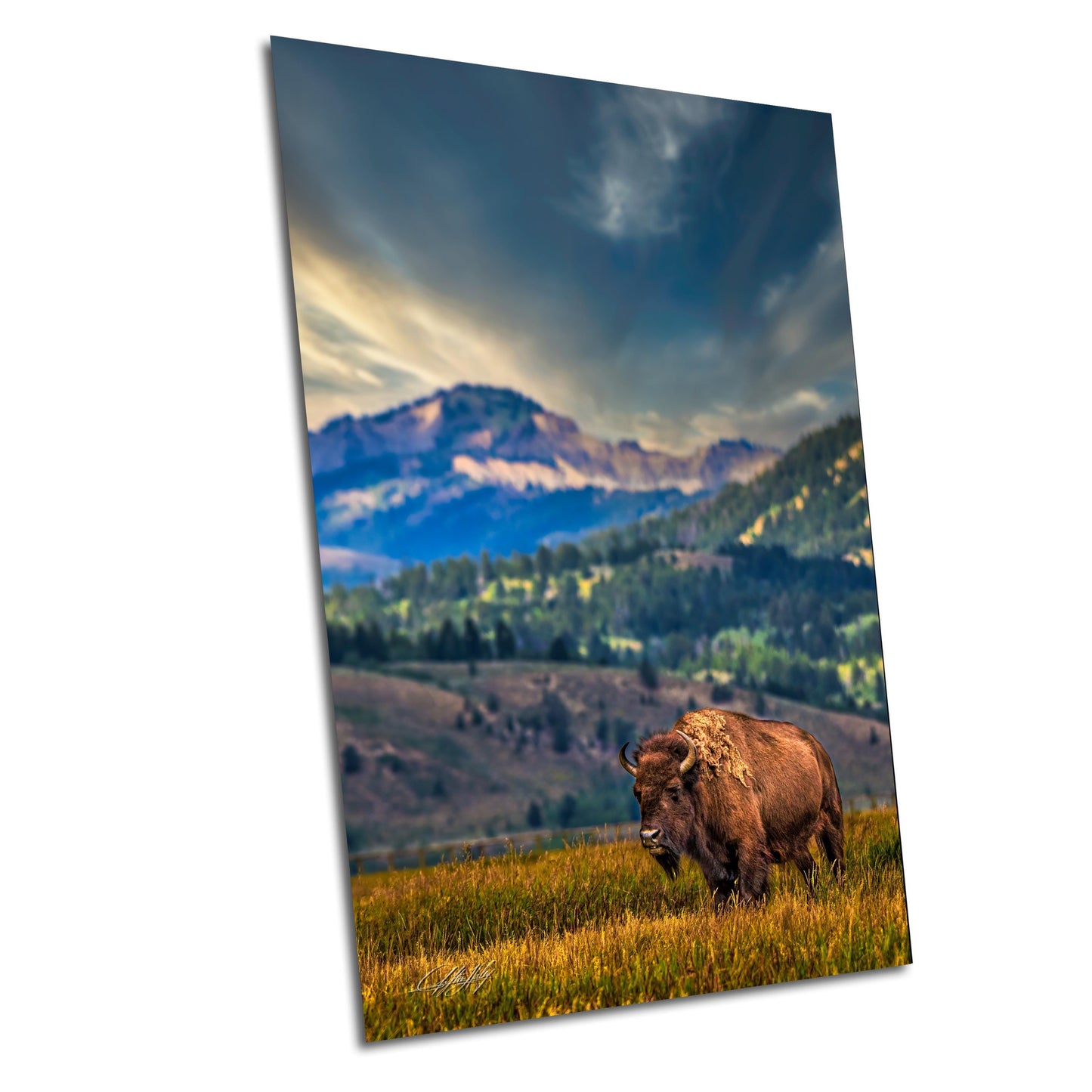 a bison standing in a field with mountains in the background